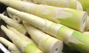 Nhiều thực phẩm chứa chất kịch độc, nhiều người Việt vẫn vô tư ăn hằng ngày