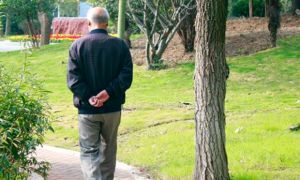 Đi bộ nhiều có thực sự giúp sống thọ? Bác sĩ nói thật: Hơn 50 tuổi kiên trì 3...