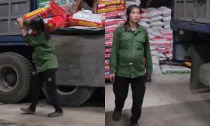 Mẹ bầu 8 tháng đi bốc vác: