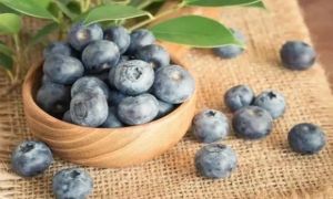 3 loại trái cây là “vua hạ đường huyết”, ăn thường xuyên có thể làm thông mạch...