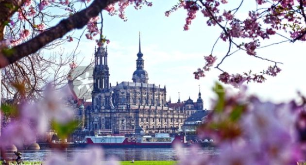 Những địa điểm ngắm hoa anh đào tại Đức mà bạn không nên bỏ lỡ