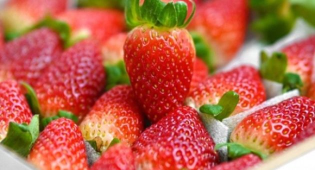 Dâu tây đứng số 1 về tồn dư thuốc trừ sâu tại Mỹ, chuyên gia Việt chỉ cách...