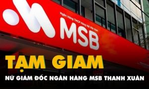 Vụ ‘bốc hơi' 58 tỷ đồng tại MSB: Bắt nữ Giám đốc chi nhánh Thanh Xuân
