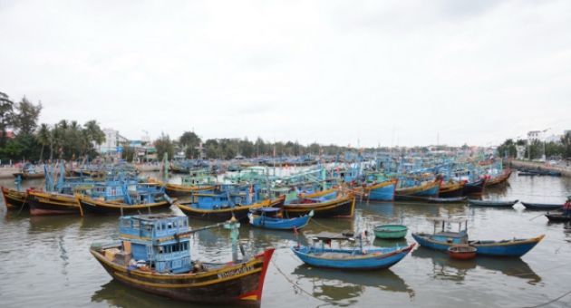 Vụ xin khai thác 3 tấn vàng ở Bình Thuận: Không có cơ sở xem xét