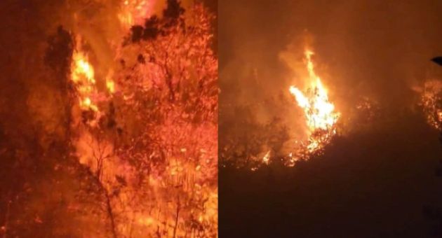 Hai kiểm lâm tử nạn khi chữa cháy rừng ở Hà Giang