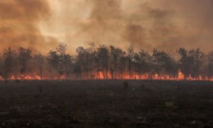 Toàn cầu nóng lên có thể buộc nhân loại vẽ lại bản đồ thế giới