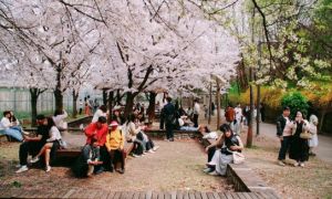 Khách Việt đi Hàn Quốc nhiều nhất Đông Nam Á