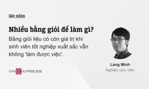 GÓC NHÌN: Nhiều bằng giỏi để làm gì?