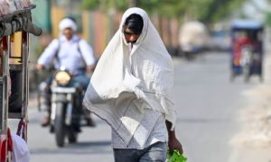 Vật lộn thích nghi tại nơi nóng nhất Ấn Độ