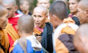 Sư Thích Minh Tuệ ‘tự nguyện dừng đi bộ khất thực’, tại sao?