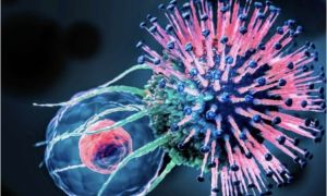 Vi rút COVID-19 tồn tại trong tinh trùng nhiều tháng sau nhiễm bệnh