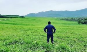 Tuổi 40 chơi vơi dù có vài miếng đất