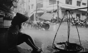 Ngồi buồn nhớ… bão