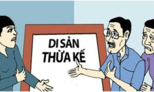 Những ai được hưởng di sản thừa kế dù không có tên trong di chúc?