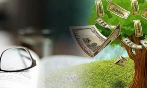 60 tuổi, tôi nhận ra 9 loại tài sản không bao giờ lo mất giá: Thậm chí càng...