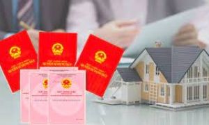 Việt kiều muốn đứng tên mua đất ở Việt Nam cần những điều kiện và thủ tục gì?