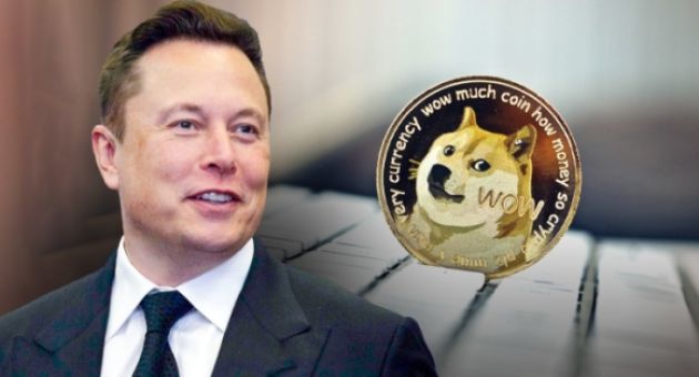 Tiền số trò đùa Dogecoin và mối quan hệ 'tàu lượn' với Elon Musk