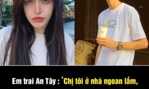 Em trai An Tây hứng chịu đả kích sau vụ chị gái bị bắt