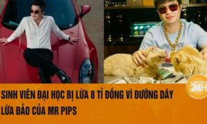 Sinh viên bị lừa 8 tỷ vụ Mr Pips hay cơn khát làm giàu nhanh của bạn trẻ?