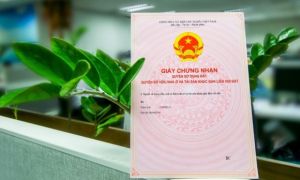 Việt kiều cần giấy tờ gì để mua đất ở Việt Nam?