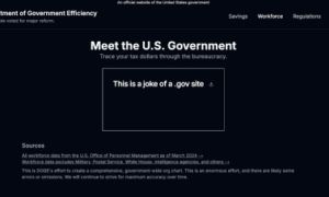 Website DOGE của Elon Musk vừa ra đã bị hack