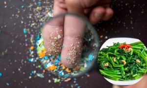 Vi nhựa len lỏi vào nhiều loại rau người Việt hay ăn bằng những cách không ngờ...