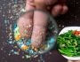 Vi nhựa len lỏi vào nhiều loại rau người Việt hay ăn bằng những cách không ngờ tới