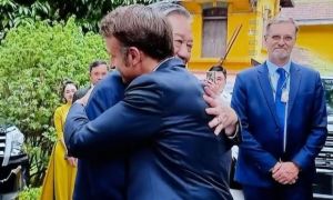 Lũ ong trong tay áo của Tô tướng quân
