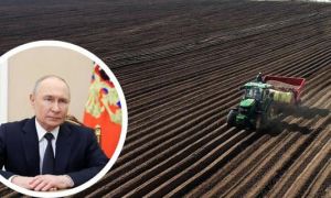 Putin thừa nhận Nga rơi vào khủng hoảng thực phẩm