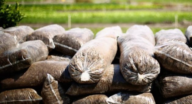 EU áp thuế quan bổ sung lên hàng hóa Nga và Belarus để gây khó khăn tài chính...