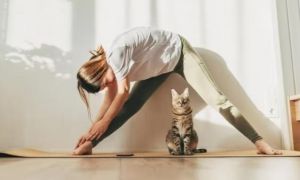 6 thói quen buổi sáng giúp “đẩy lùi” mỡ máu