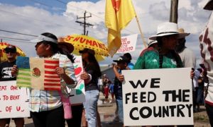 Người nhập cư trái phép ở Mỹ nộp thuế nhiều hơn Amazon, GM, IBM và Netflix gộp...