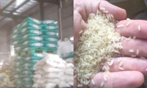 Trung Quốc: Đột kích nhà máy trong đêm, phanh phui công ty sản xuất gạo giả...