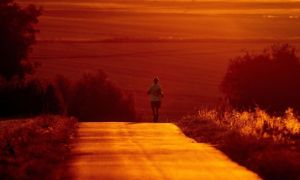 Châu Âu hứng chịu đợt nắng nóng kỷ lục: Sóng nhiệt thiêu đốt lục địa già