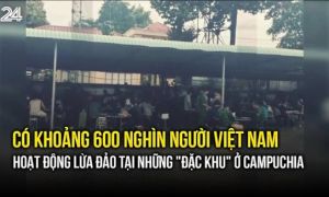 Nikkei: AI đang tạo điều kiện cho tội phạm xuyên quốc gia khi các băng đảng...