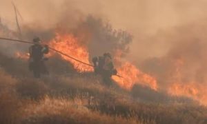 Cháy rừng lan rộng giữa đợt nắng nóng đầu hè tại châu Âu