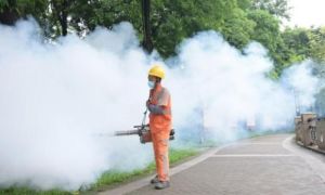 Những điều cần biết về virus chikungunya giữa lúc dịch lan rộng tại Trung Quốc