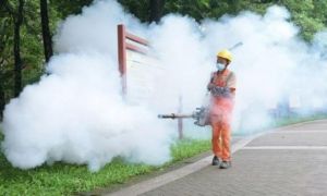 Chikungunya có dấu hiệu bùng phát mạnh, loạt quốc gia gửi cảnh báo tới người dân