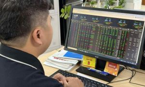 Thị trường chứng khoán Việt Nam giảm sâu cuối phiên sáng 20/8