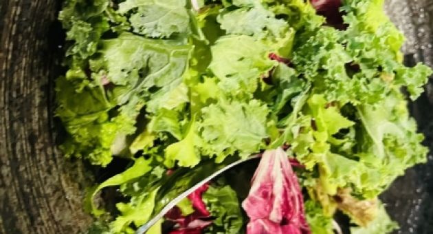 Người Việt đang ăn quá ít rau quả, HCDC kêu gọi hãy sống khỏe bắt đầu từ bữa...