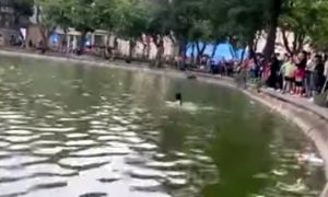 Thông tin vụ cô gái đuối nước tử vong ở hồ Hoàn Kiếm