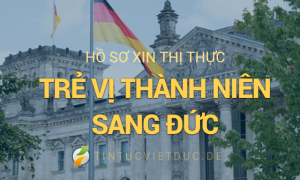 Thủ tục xin cấp thị thực cho trẻ vị thành niên sang Đức du lịch, thăm thân hay...