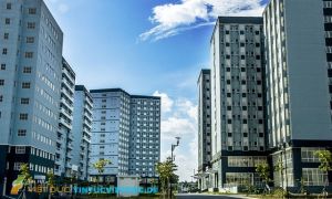 Tài sản nào được mang về nước khi hồi hương?