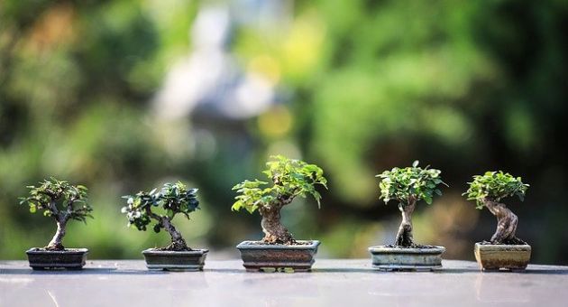 Tử vi 12 cung hoàng đạo Thứ Tư ngày 19/3/2025: Song Tử công việc suôn sẻ