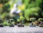 3 con giáp sự nghiệp rực rỡ, tình duyên như mơ vào năm 2021 khiến nhiều người cảm thấy ganh tị