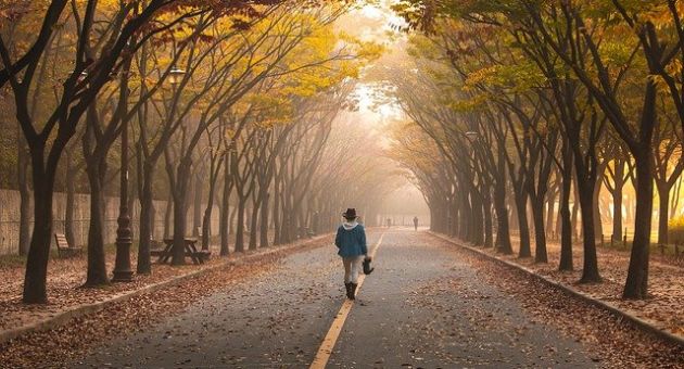Tử vi 12 cung hoàng đạo Thứ Năm ngày 3/4/2025: Song Tử tài lộc thuận lợi